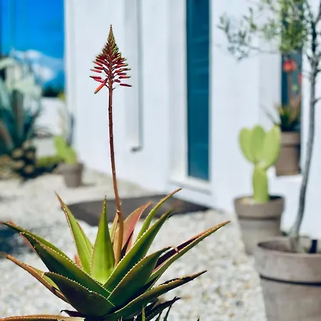 شقة Soulbreeze Kos, Haus 2 *