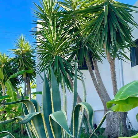 Soulbreeze Kos, Haus 2 *