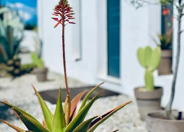 شقة Soulbreeze Kos, Haus 2 *