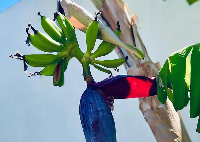 Soulbreeze Kos, Haus 2