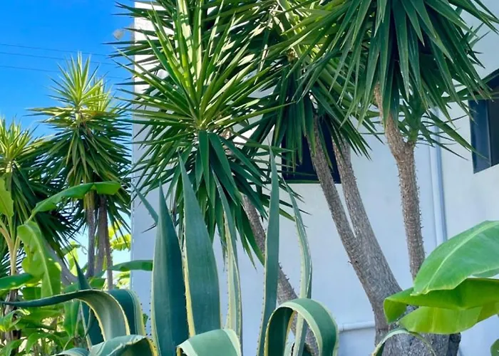 Soulbreeze Kos, Haus 2 *